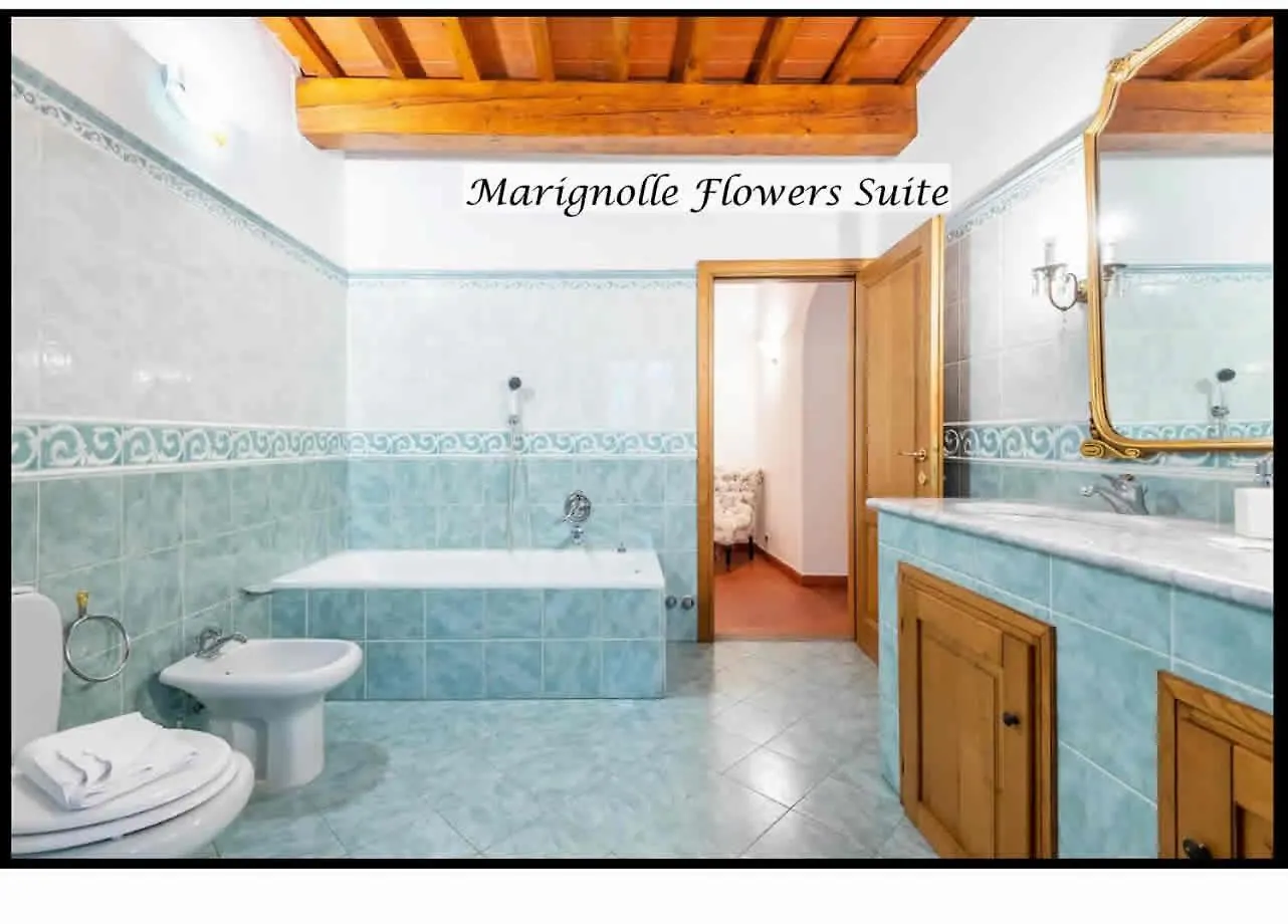 Marignolle Flowers Suite Florence Holiday home